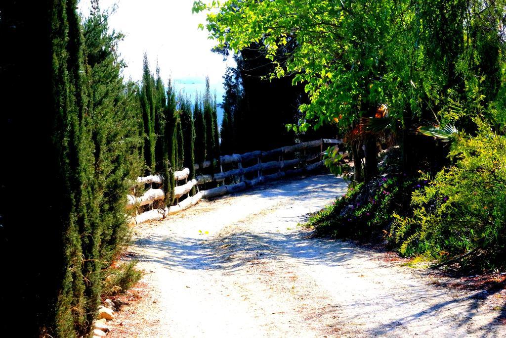 מוחקאר Cortijo De La Media Luna מראה חיצוני תמונה